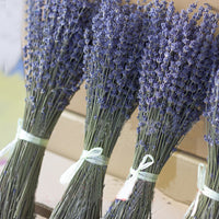 Thumbnail for Natural Lavender Flower Bouquet
